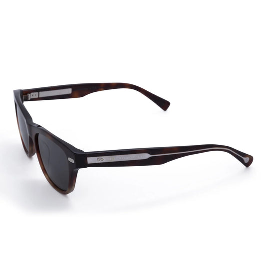 Sunglasses Brunello Cucinelli BC3005S 1015/52 Brown