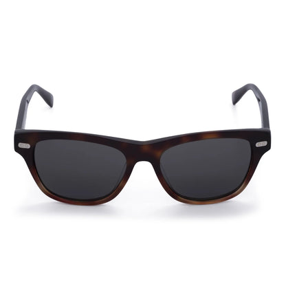 Sunglasses Brunello Cucinelli BC3005S 1015/52 Brown
