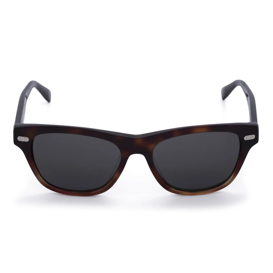 Sunglasses Brunello Cucinelli BC3005S 1015/52 Brown