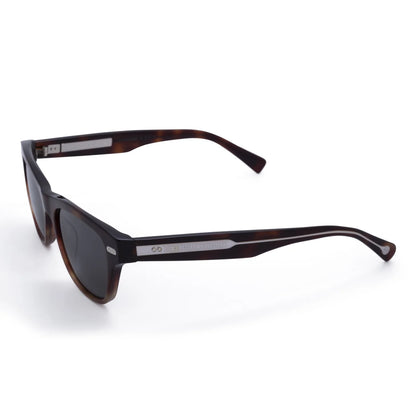 Sunglasses Brunello Cucinelli BC3005S 1015/52 Brown