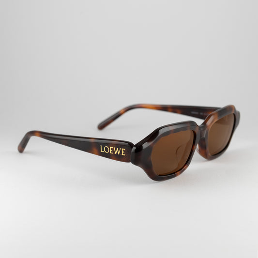 Occhiale da sole Loewe LW40157U 52G Havana - Clyra Eyewear