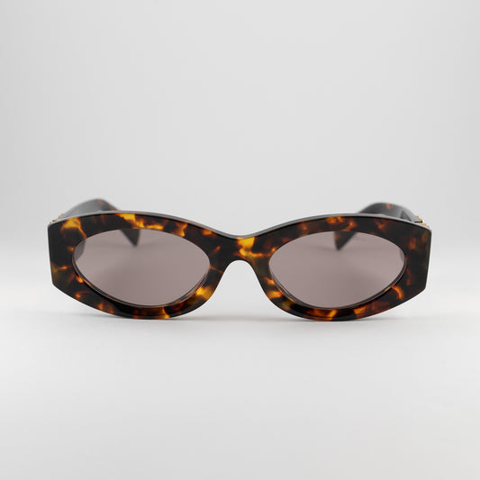 Occhiale da sole Miu Miu SMU 11WS 14L-20I Havana - Clyra Eyewear